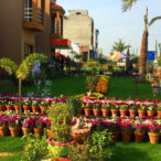 Horticulture Omega Residencia Lahore