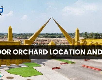 Al Noor Orchard Location And Map