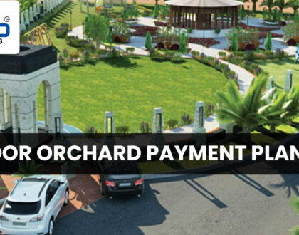 Al Noor Orchard Payment Plan 2022
